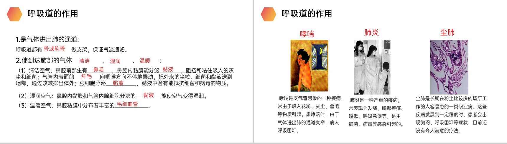 《呼吸道对空气的处理》人教版生物七年级初一下册PPT课件-7