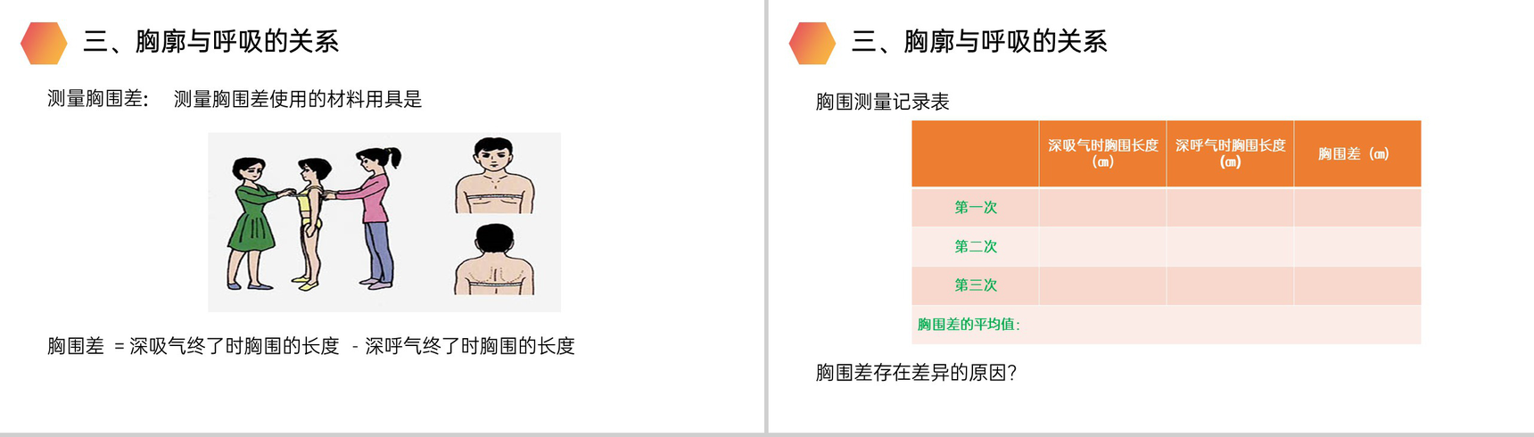 《发生在肺内的气体交换》人教版生物七年级初一下册PPT课件-6