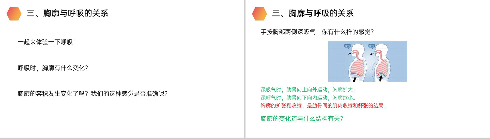 《发生在肺内的气体交换》人教版生物七年级初一下册PPT课件-5