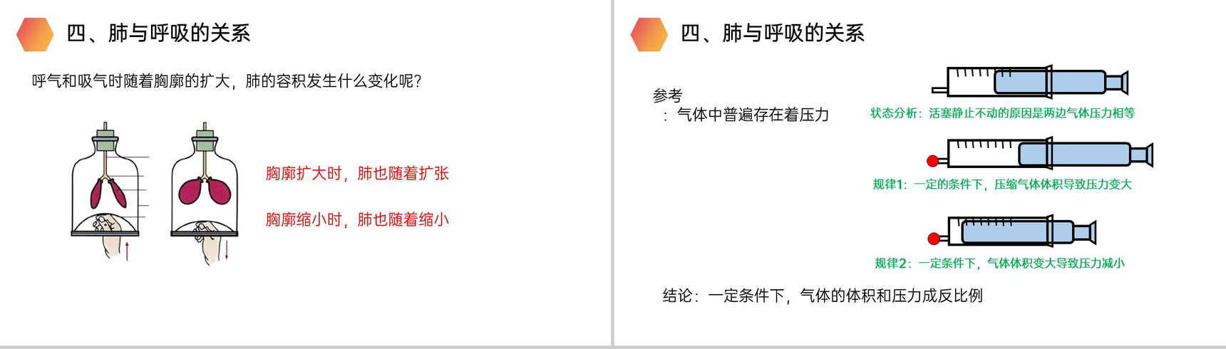 《发生在肺内的气体交换》人教版生物七年级初一下册PPT课件-9