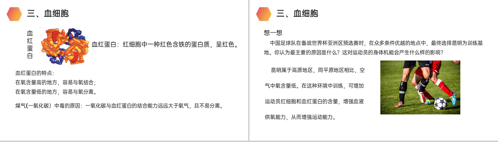 《流动的组织(血液)》人教版生物七年级初一下册PPT课件-5
