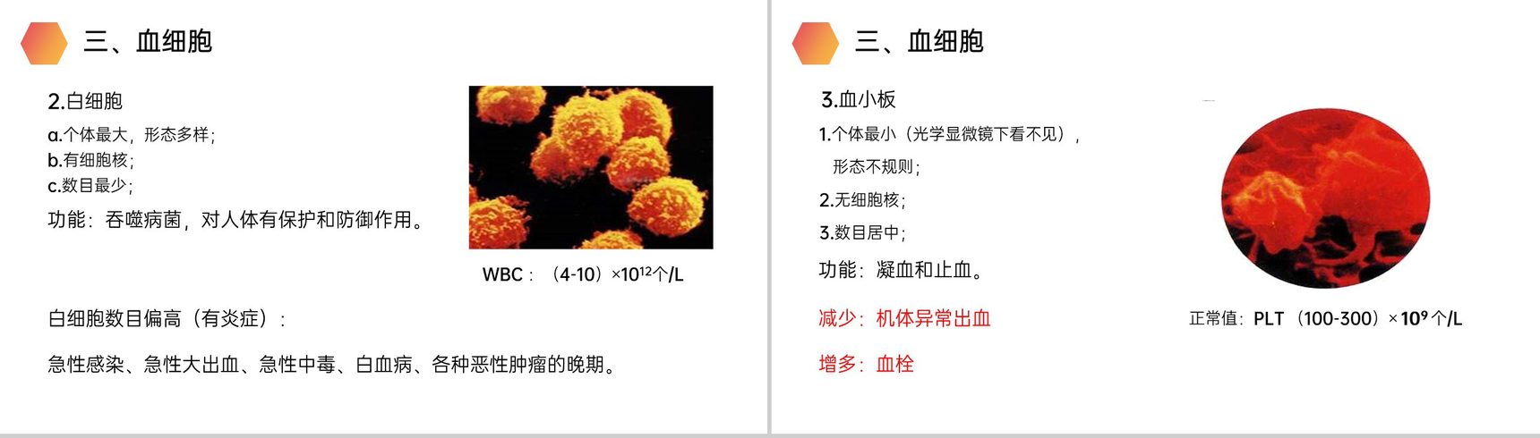 《流动的组织(血液)》人教版生物七年级初一下册PPT课件-6
