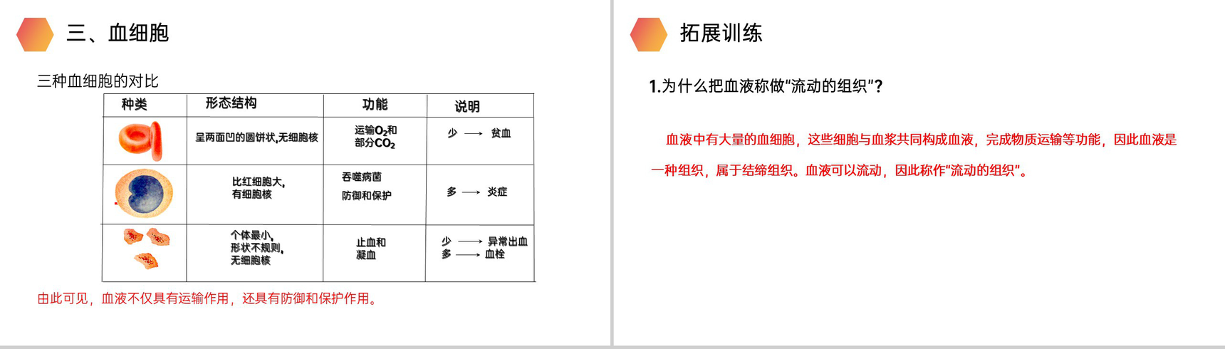 《流动的组织(血液)》人教版生物七年级初一下册PPT课件-8