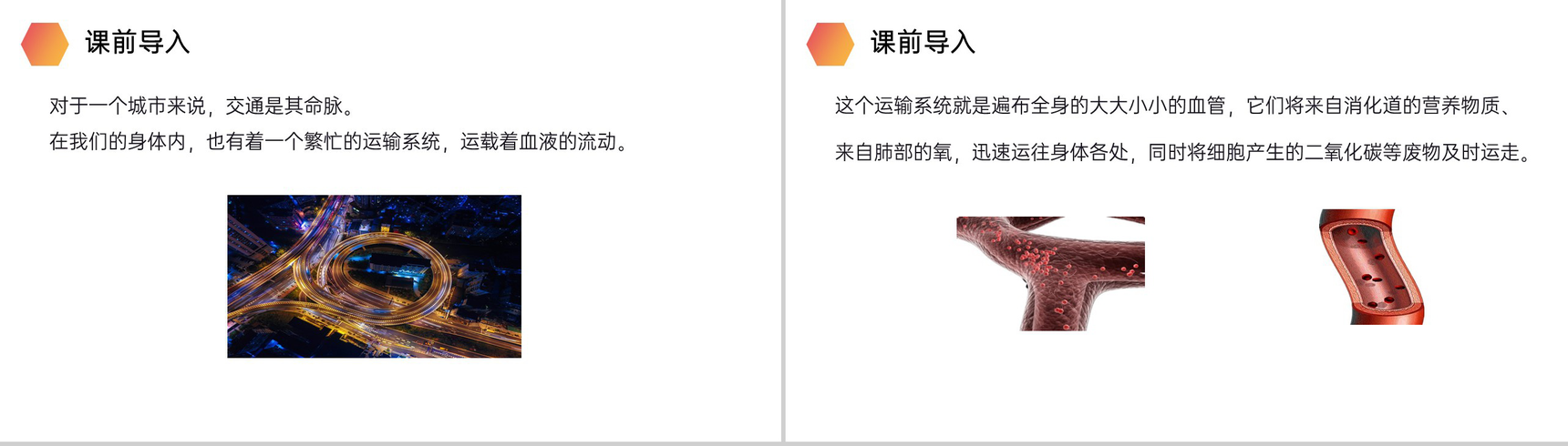 《血流的管道(血管)》人教版生物七年级初一下册PPT课件-2