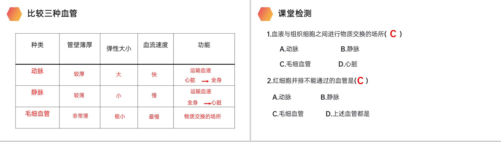 《血流的管道(血管)》人教版生物七年级初一下册PPT课件-9