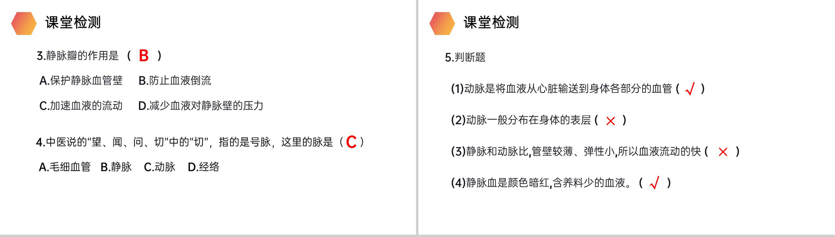 《血流的管道(血管)》人教版生物七年级初一下册PPT课件-10