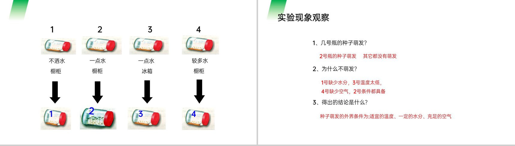 《种子的萌发》人教版七年级初一生物上册PPT课件-5