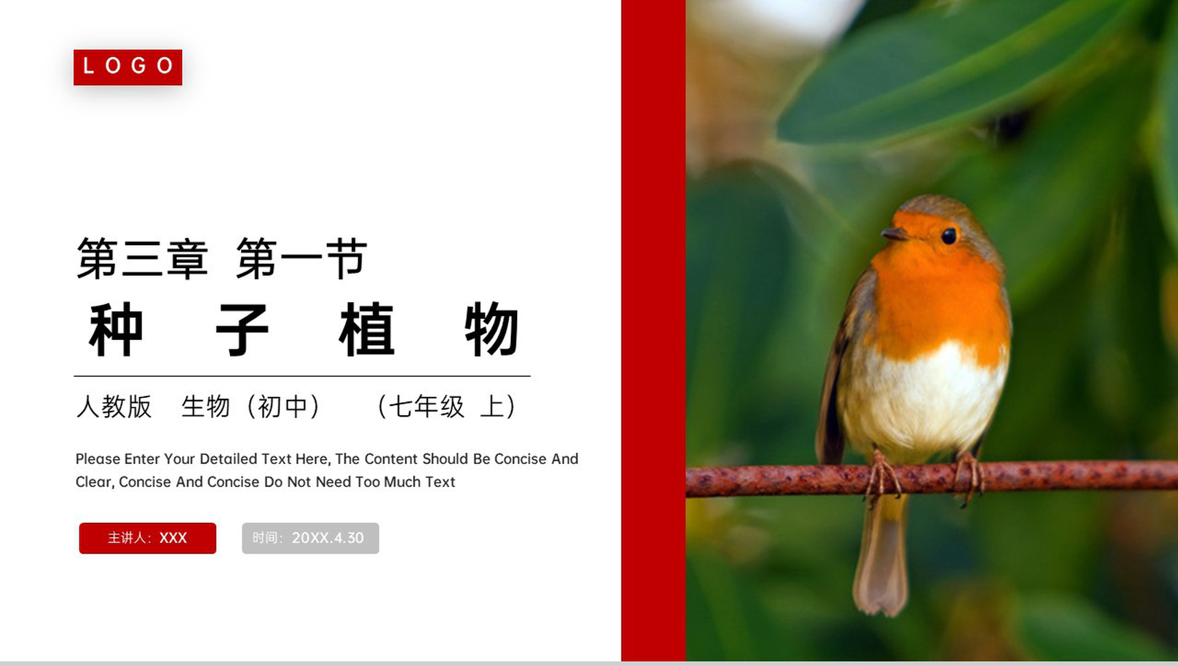 《种子植物》人教版七年级初一生物上册PPT课件-1