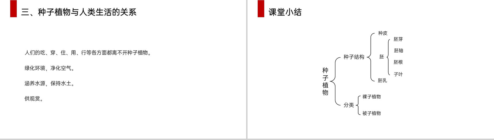 《种子植物》人教版七年级初一生物上册PPT课件-11