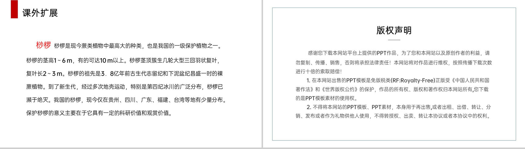 《种子植物》人教版七年级初一生物上册PPT课件-13