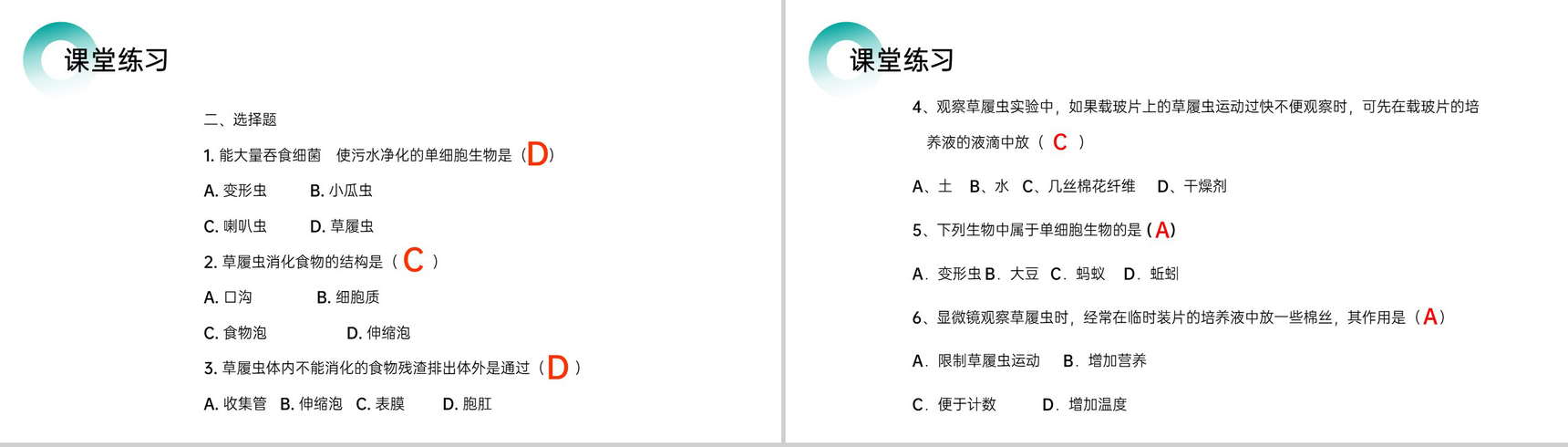 《单细胞生物》人教版七年级初一生物上册PPT课件-11