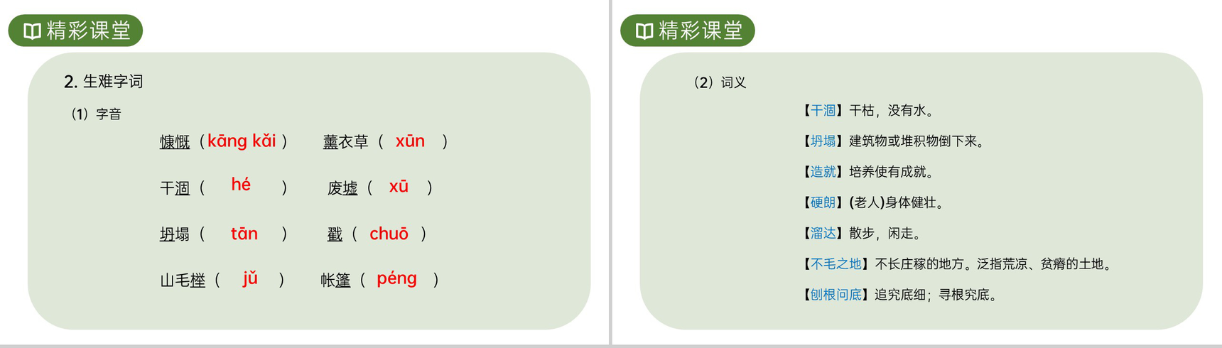 《植树的牧羊人》人教版七年级上册语文PPT课件-4