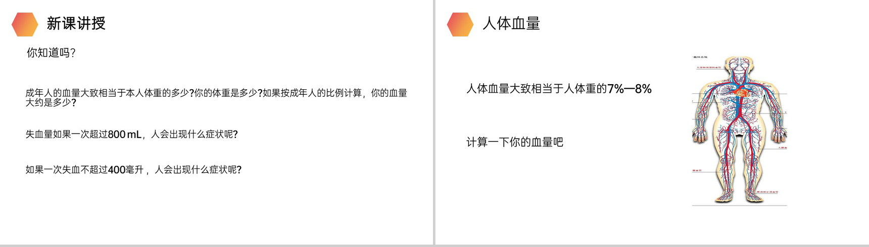 《输血与血型》人教版生物七年级初一下册PPT课件-2