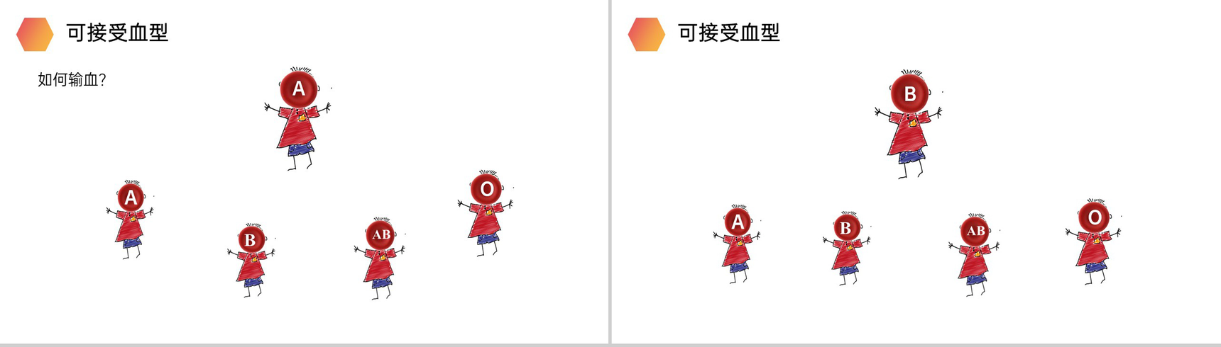 《输血与血型》人教版生物七年级初一下册PPT课件-6