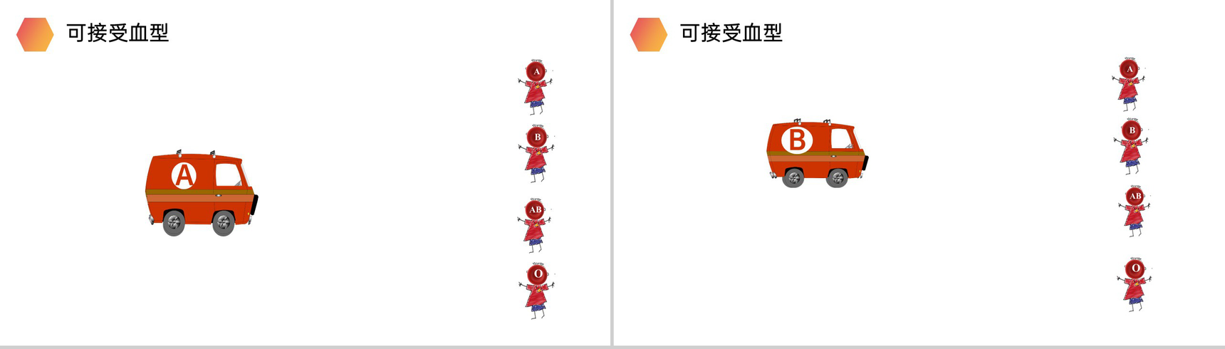 《输血与血型》人教版生物七年级初一下册PPT课件-8
