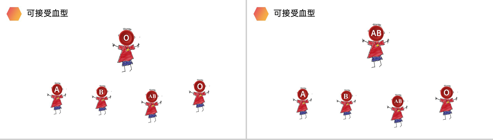 《输血与血型》人教版生物七年级初一下册PPT课件-7