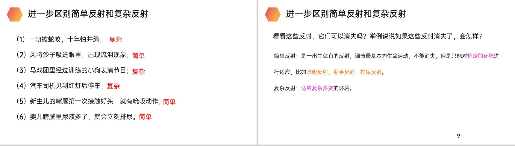 《神经调节的基本方式》人教版生物七年级初一下册PPT课件-5