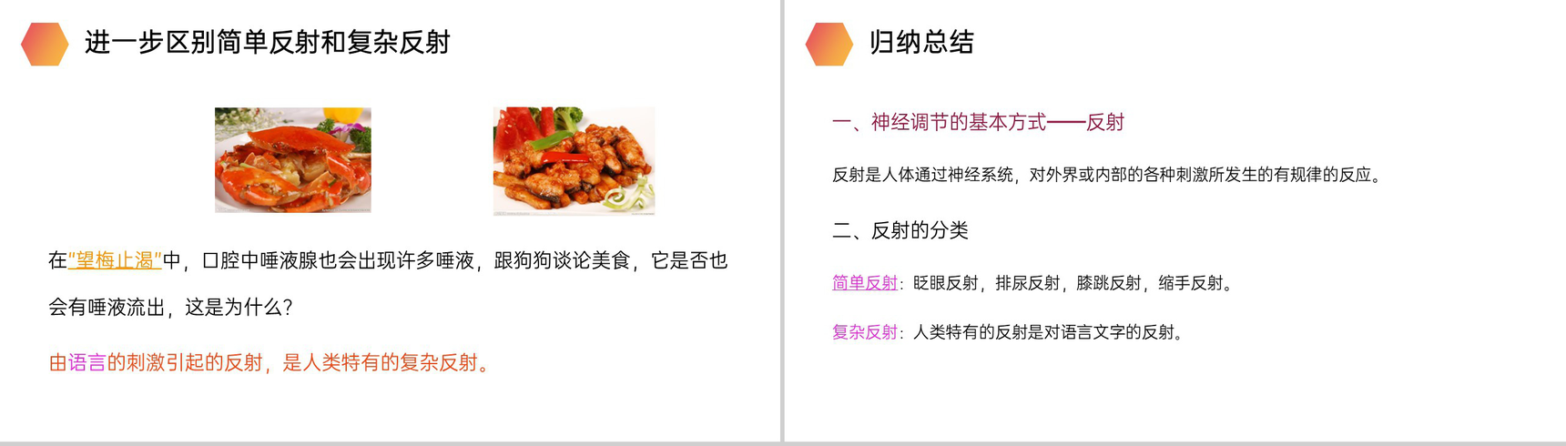 《神经调节的基本方式》人教版生物七年级初一下册PPT课件-7
