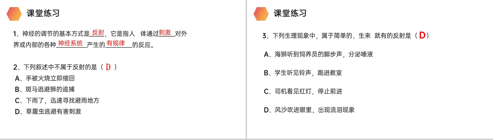 《神经调节的基本方式》人教版生物七年级初一下册PPT课件-8
