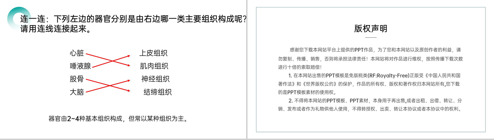 《动物体的结构层次》人教版七年级初一生物上册PPT课件-7