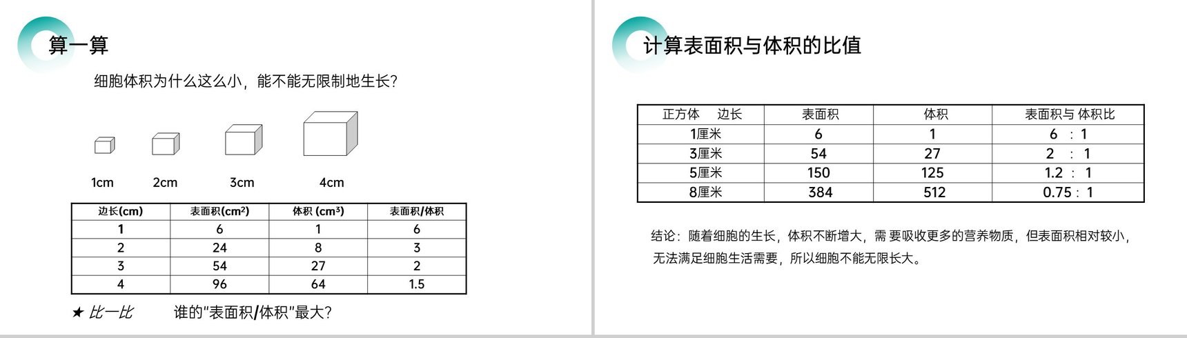 《细胞通过分裂产生新细胞》人教版七年级初一生物上册PPT课件-3