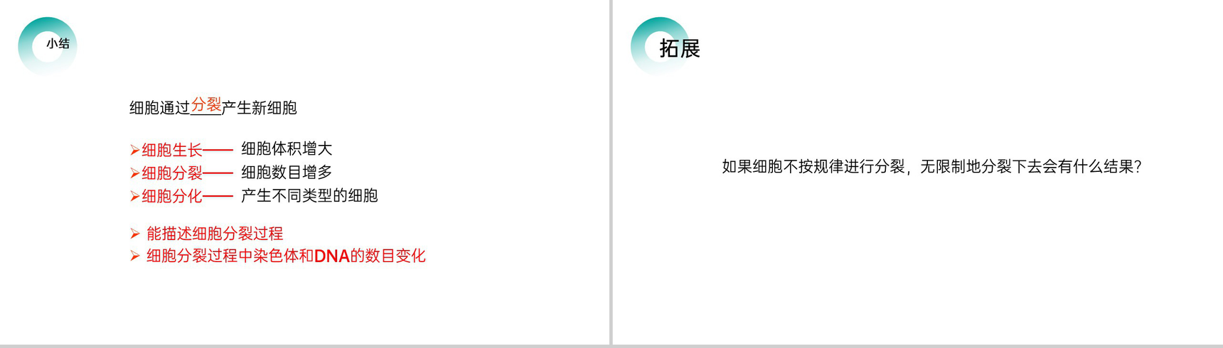 《细胞通过分裂产生新细胞》人教版七年级初一生物上册PPT课件-8