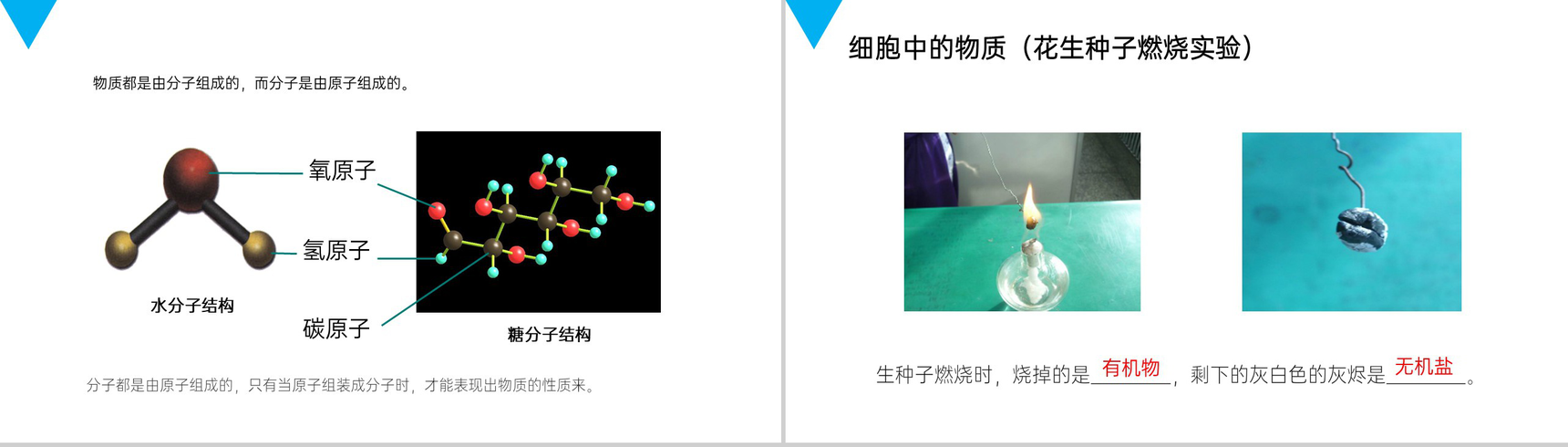 《细胞的生活》人教版七年级初一生物上册PPT课件-3