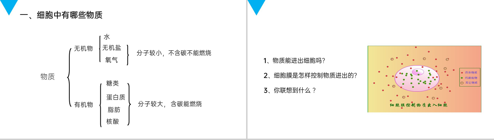 《细胞的生活》人教版七年级初一生物上册PPT课件-4