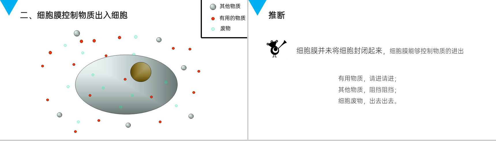 《细胞的生活》人教版七年级初一生物上册PPT课件-5