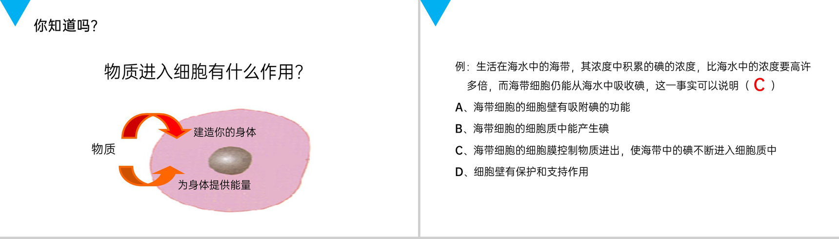 《细胞的生活》人教版七年级初一生物上册PPT课件-6