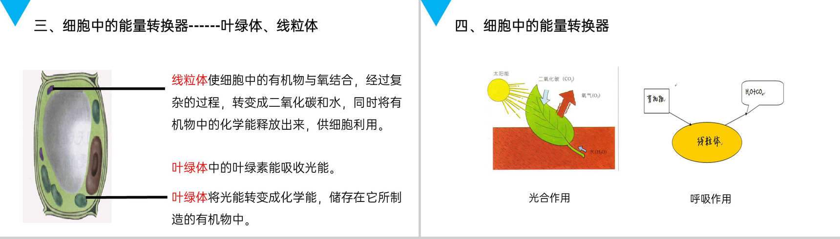 《细胞的生活》人教版七年级初一生物上册PPT课件-9