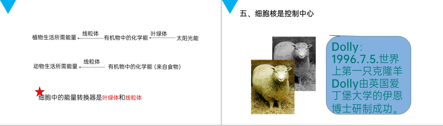 《细胞的生活》人教版七年级初一生物上册PPT课件-10