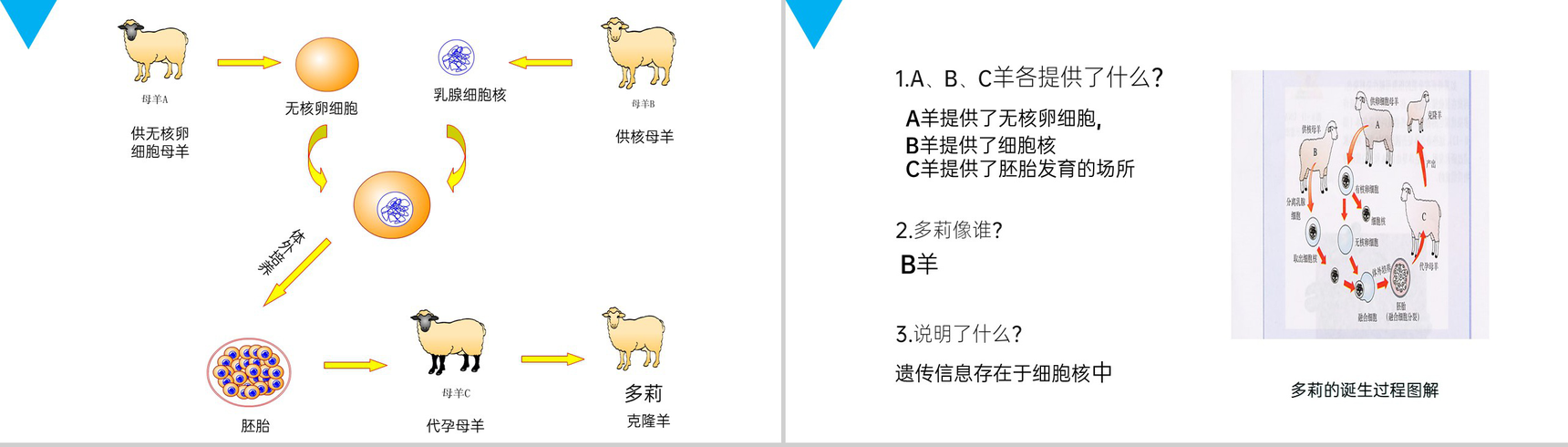 《细胞的生活》人教版七年级初一生物上册PPT课件-11