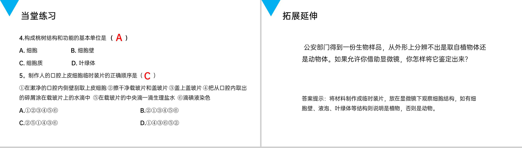 《动物细胞》人教版七年级初一生物上册PPT课件-8