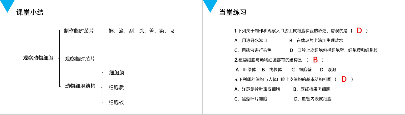 《动物细胞》人教版七年级初一生物上册PPT课件-7