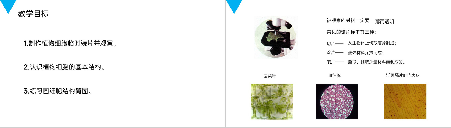 《植物细胞》人教版七年级初一生物上册PPT课件-2