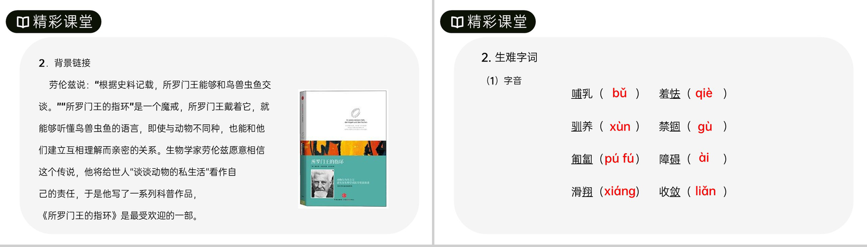 《动物笑谈》人教版七年级上册语文PPT课件-3