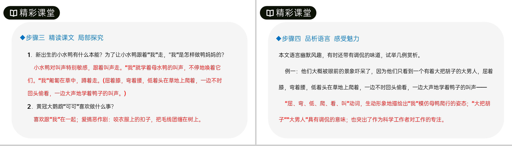 《动物笑谈》人教版七年级上册语文PPT课件-5