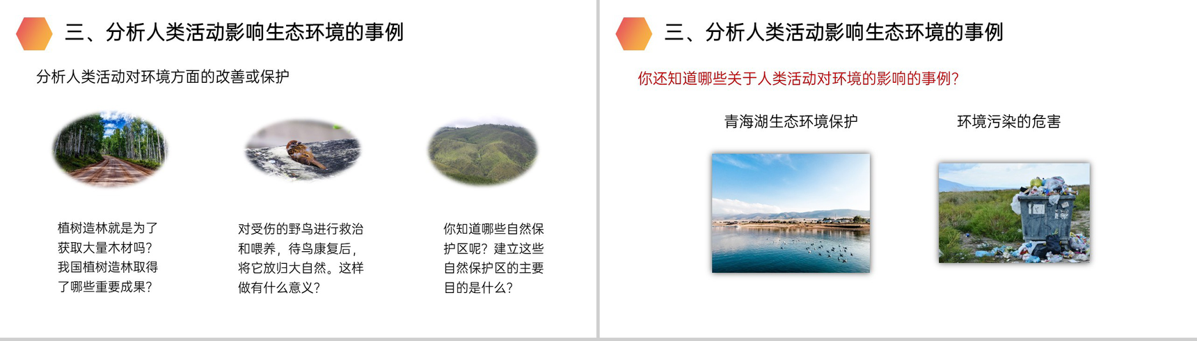 《分析人类活动对生态环境的影响》人教版生物七年级初一下册PPT课件-7