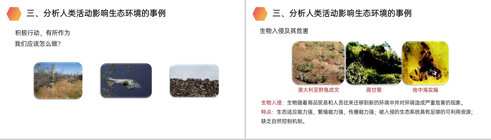 《分析人类活动对生态环境的影响》人教版生物七年级初一下册PPT课件-8