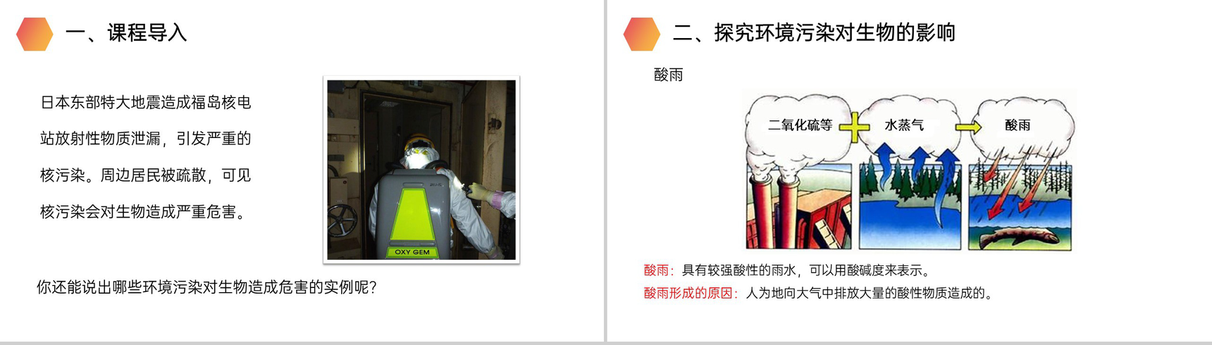 《探究环境污染对生物的影响》人教版生物七年级初一下册PPT课件-2
