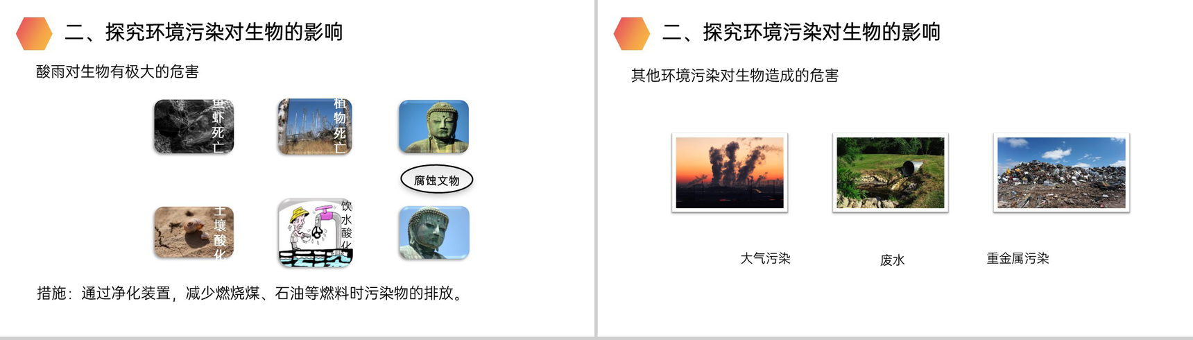 《探究环境污染对生物的影响》人教版生物七年级初一下册PPT课件-5