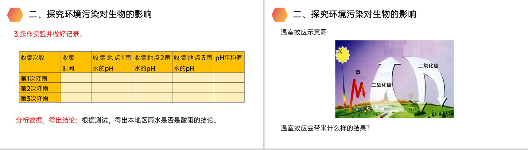 《探究环境污染对生物的影响》人教版生物七年级初一下册PPT课件-7