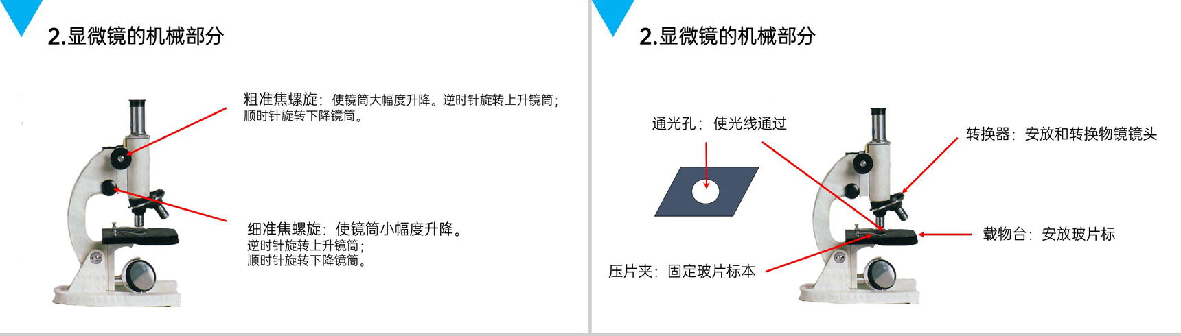 《练习使用显微镜》人教版七年级初一生物上册PPT课件-3