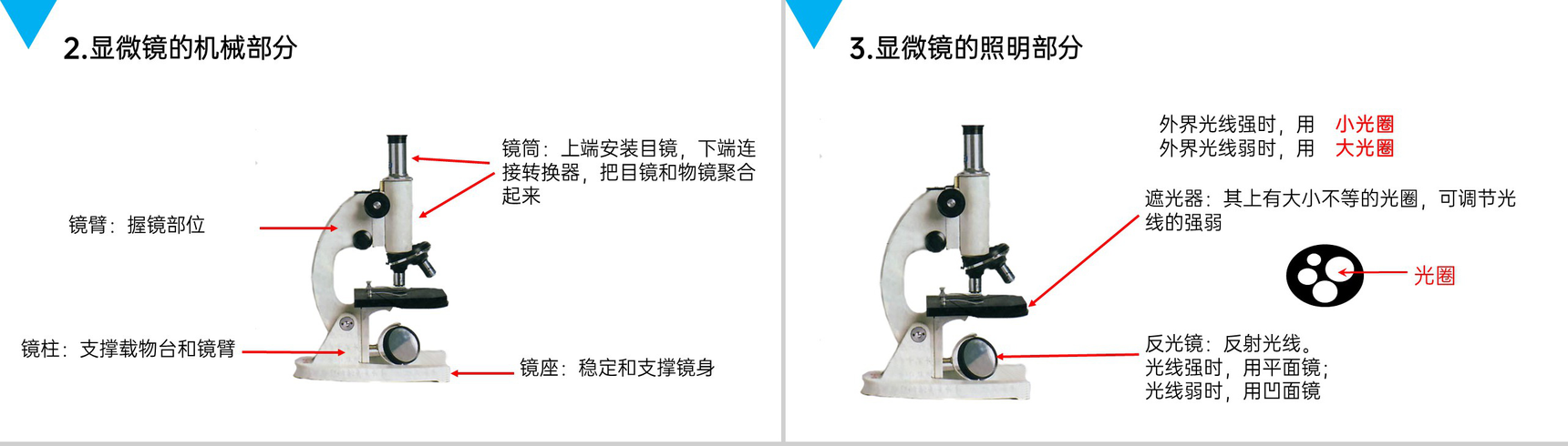 《练习使用显微镜》人教版七年级初一生物上册PPT课件-4