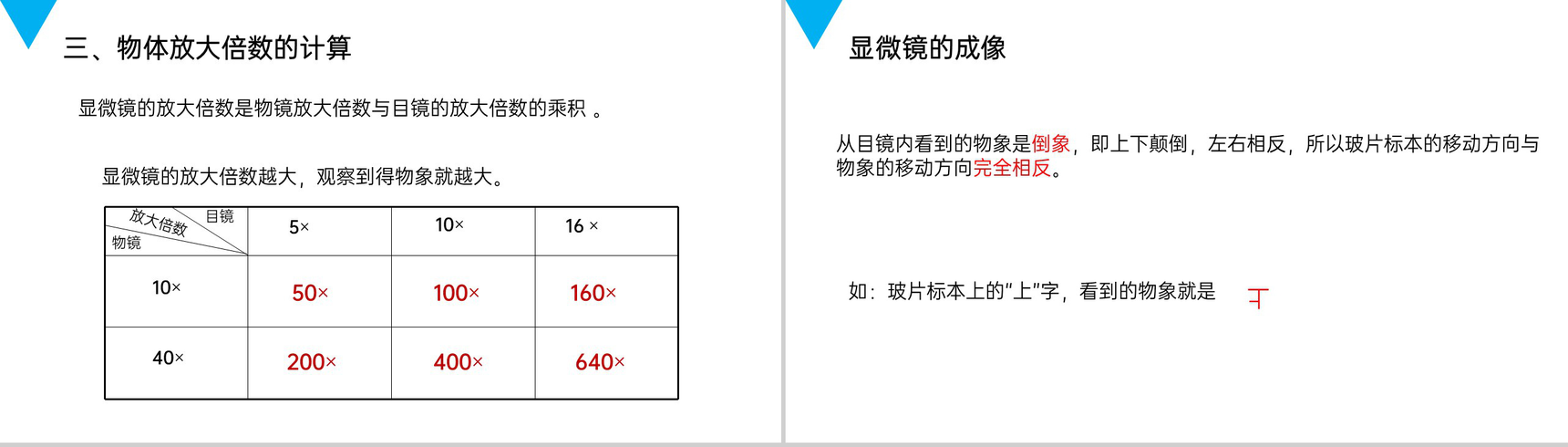 《练习使用显微镜》人教版七年级初一生物上册PPT课件-6