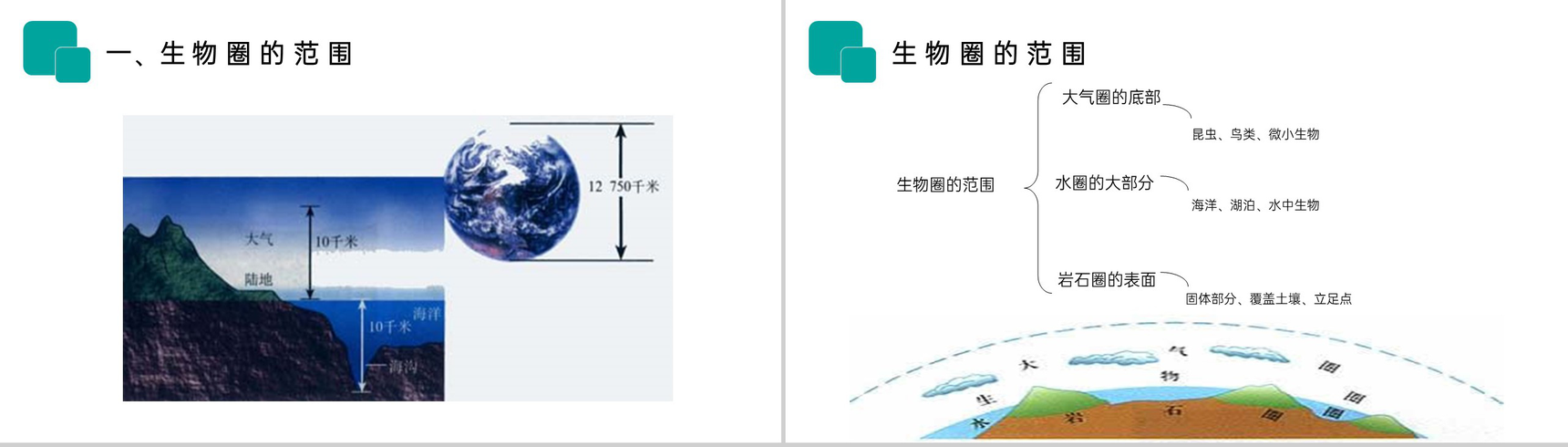 《生物圈是最大的生态系统》人教版七年级初一生物上册PPT课件-2