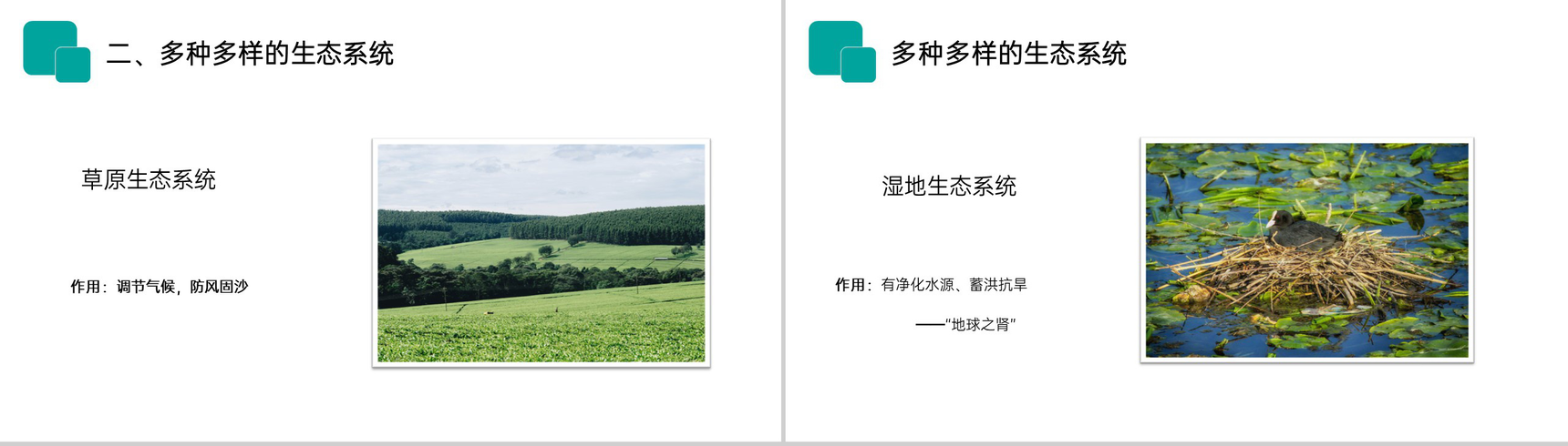 《生物圈是最大的生态系统》人教版七年级初一生物上册PPT课件-3