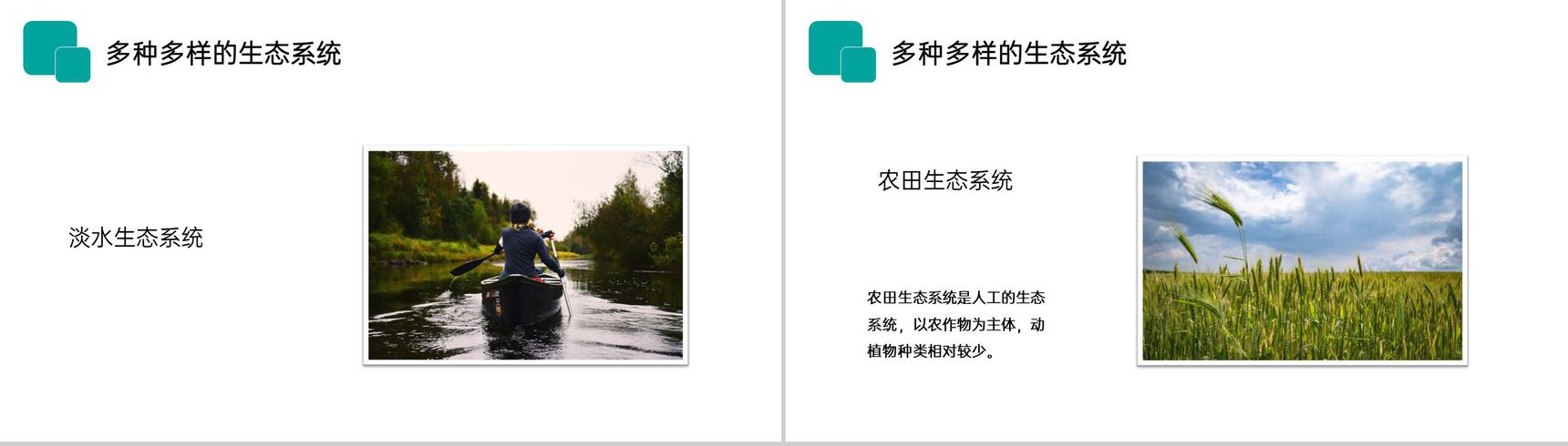 《生物圈是最大的生态系统》人教版七年级初一生物上册PPT课件-5