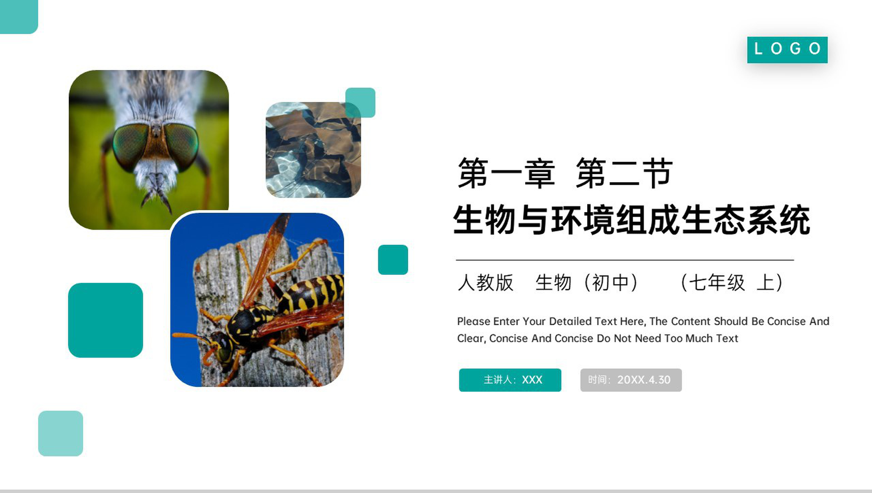 《生物与环境组成生态系统》人教版七年级初一生物上册PPT课件-1